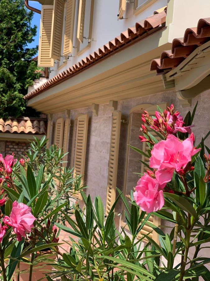 Manna Villa Eger Ngoại thất bức ảnh